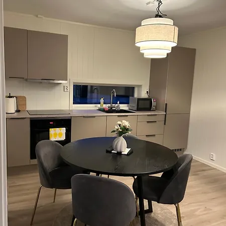 Apartman Ghar-new 2 Bedrooms Near Airport And Oslo City-free Parking